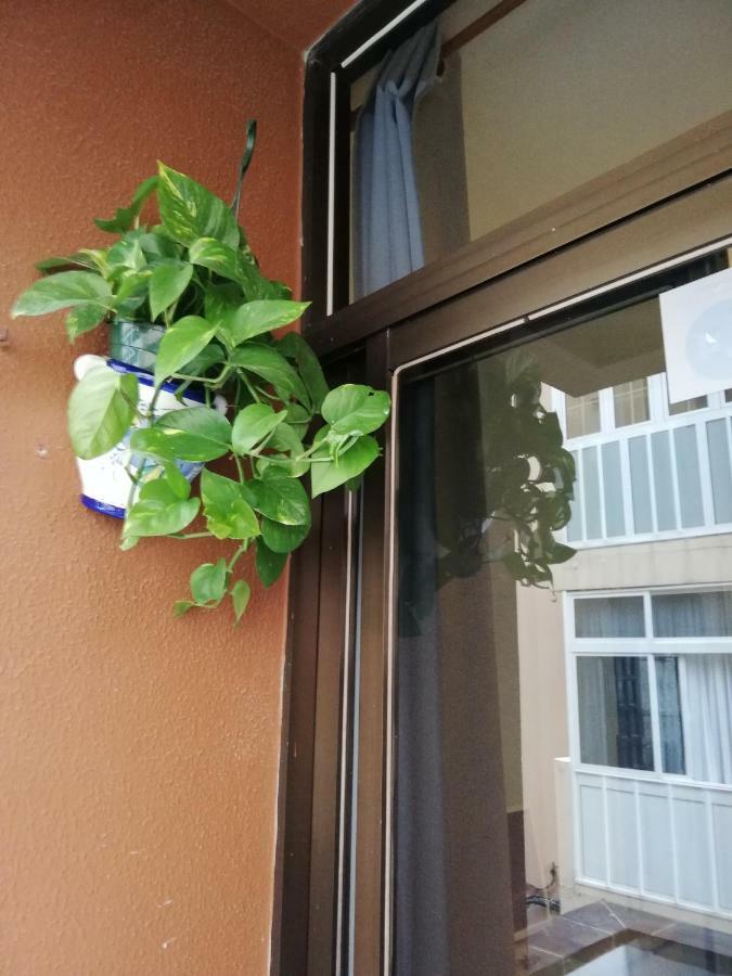 Appartamento Babelia Las Palmas de Gran Canaria